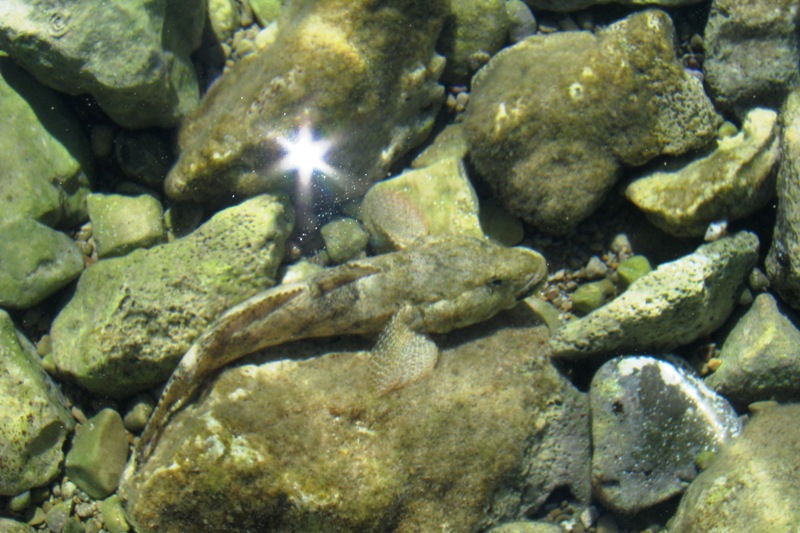 kajak 2 dzień 6.jpg