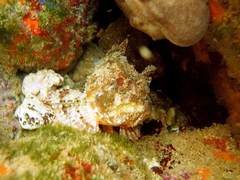 a ta straszy... / 19.JPG 19.JPG