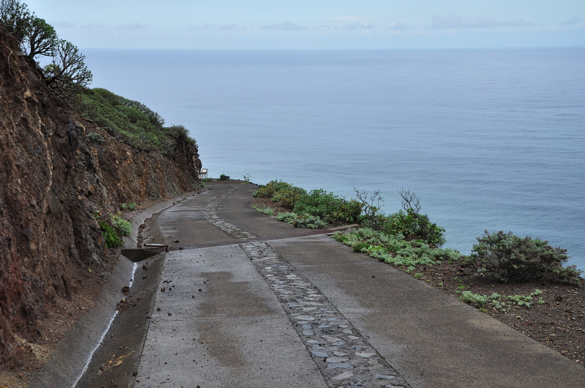 DSC_0410.JPG DSC_0410.JPG