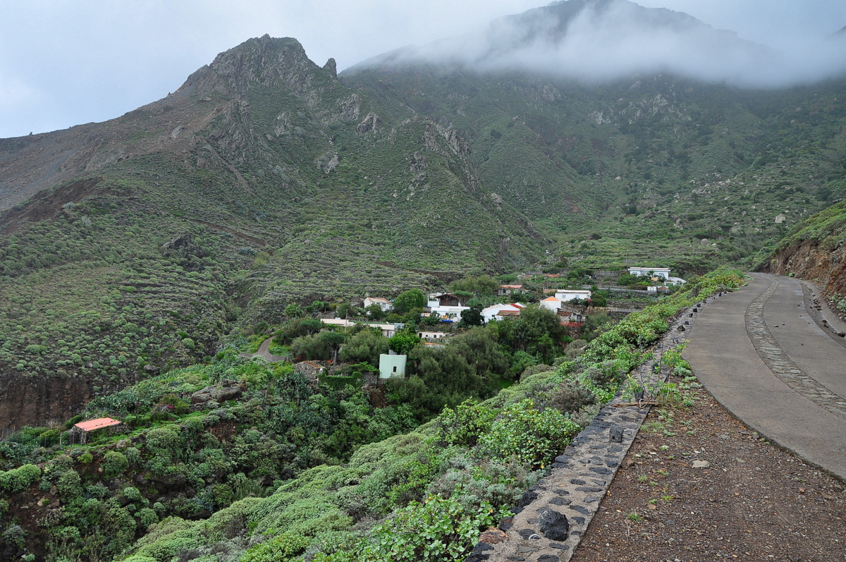 DSC_0413.JPG DSC_0413.JPG