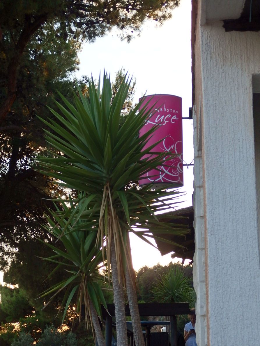 Luce / P7300308.JPG P7300308.JPG