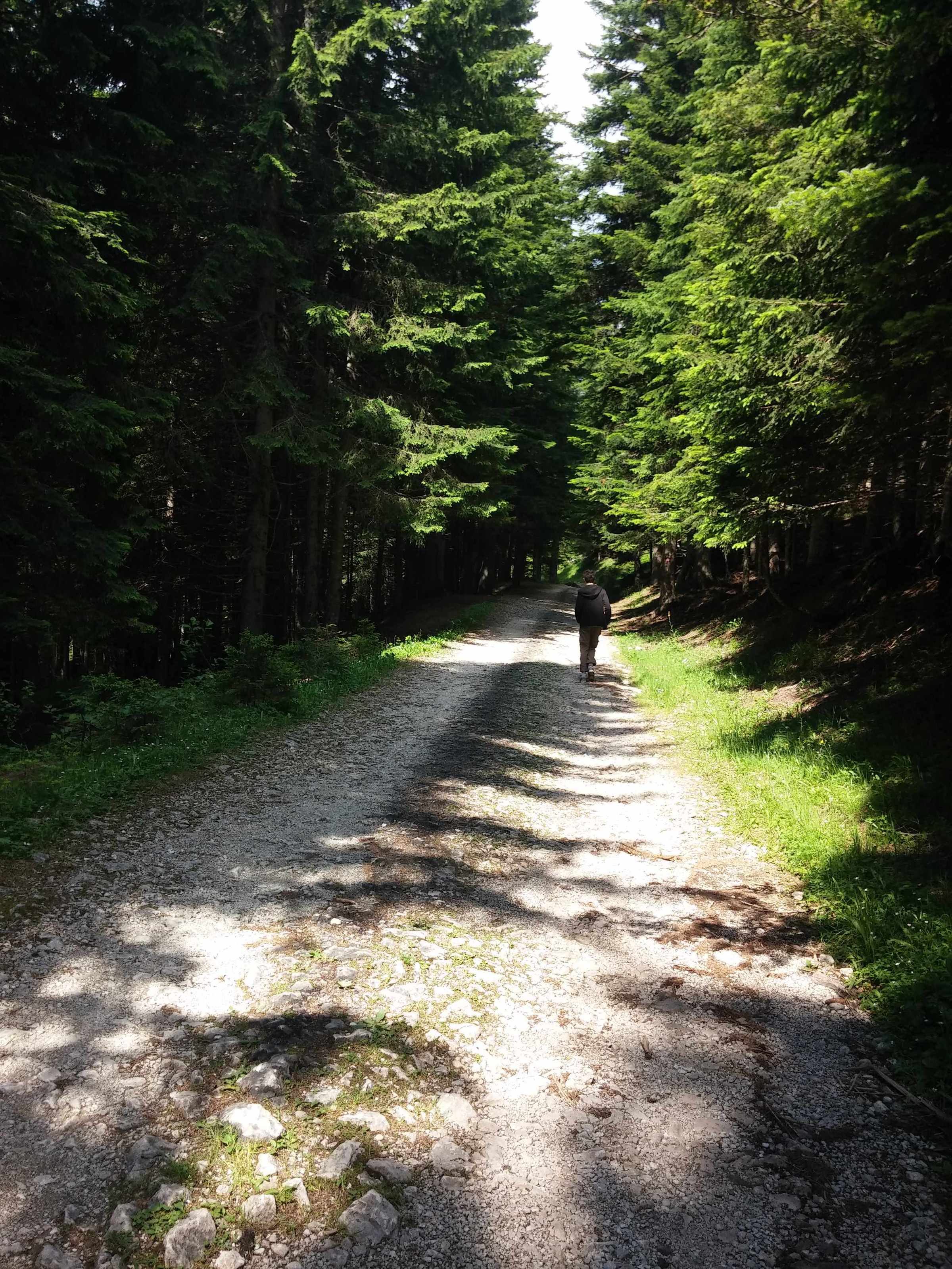 droga do jeziora.jpg