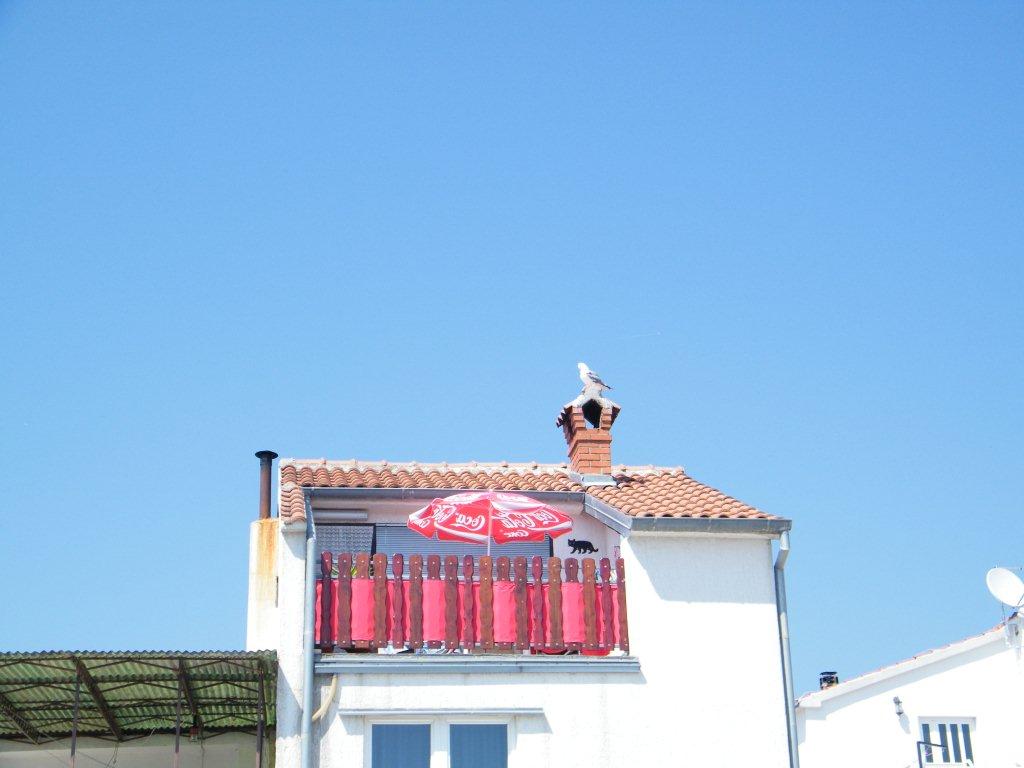 Chorwacja VII 2010 662.jpg