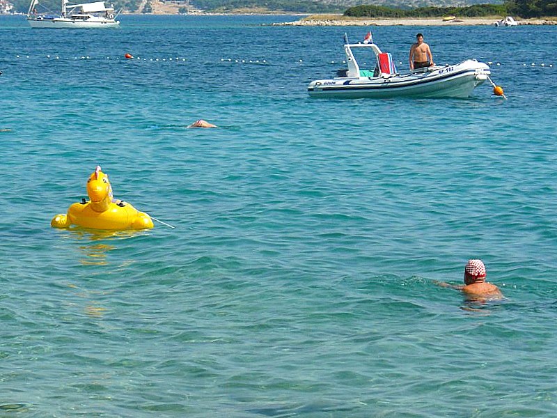 P1080841 [800x600].jpg