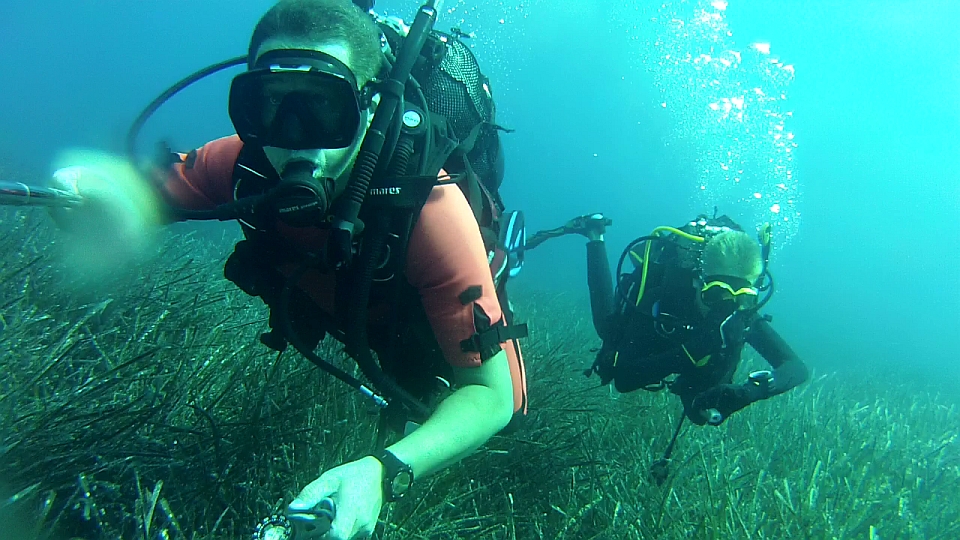 z Dawidem nad lasem traw.jpg