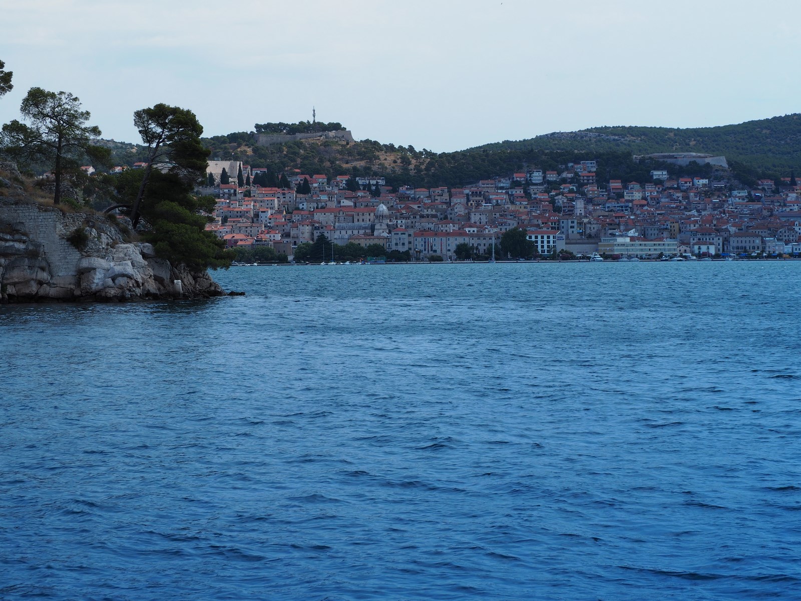 P7090593 (Kopiowanie).JPG