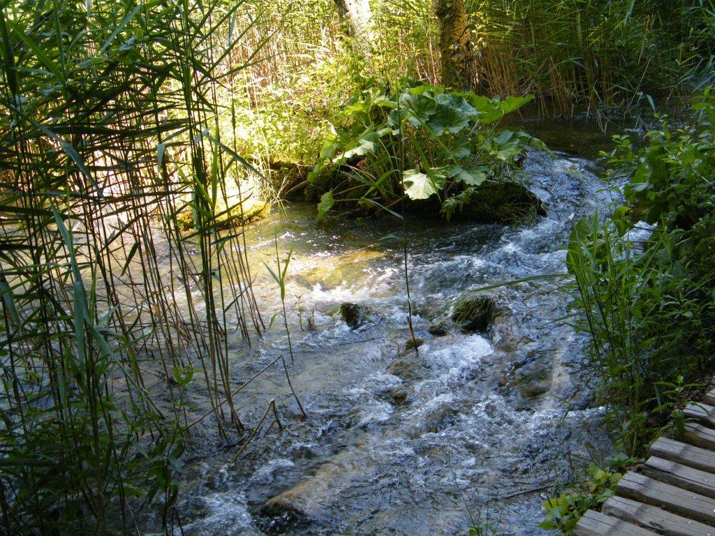 Chorwacja VII 2010 1108.jpg