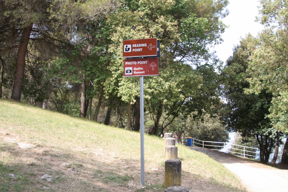 IMG_0114 (1000x667).jpg