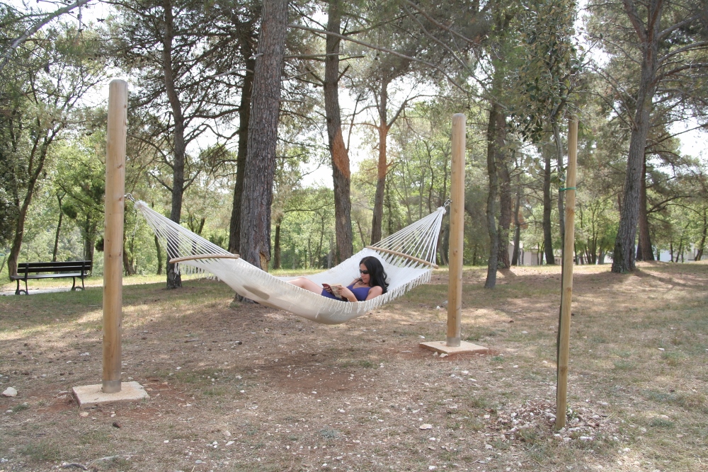 IMG_0122 (1000x667).jpg