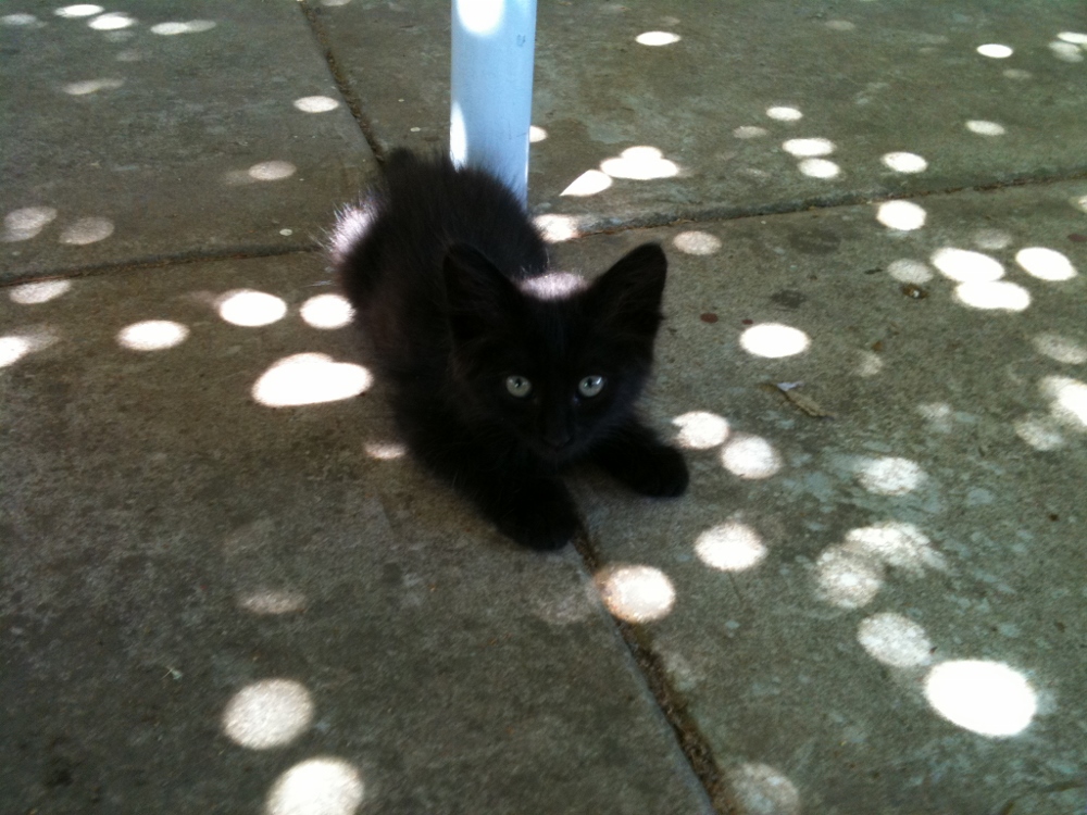 Chorwacja 2012 224 (1000x750).jpg