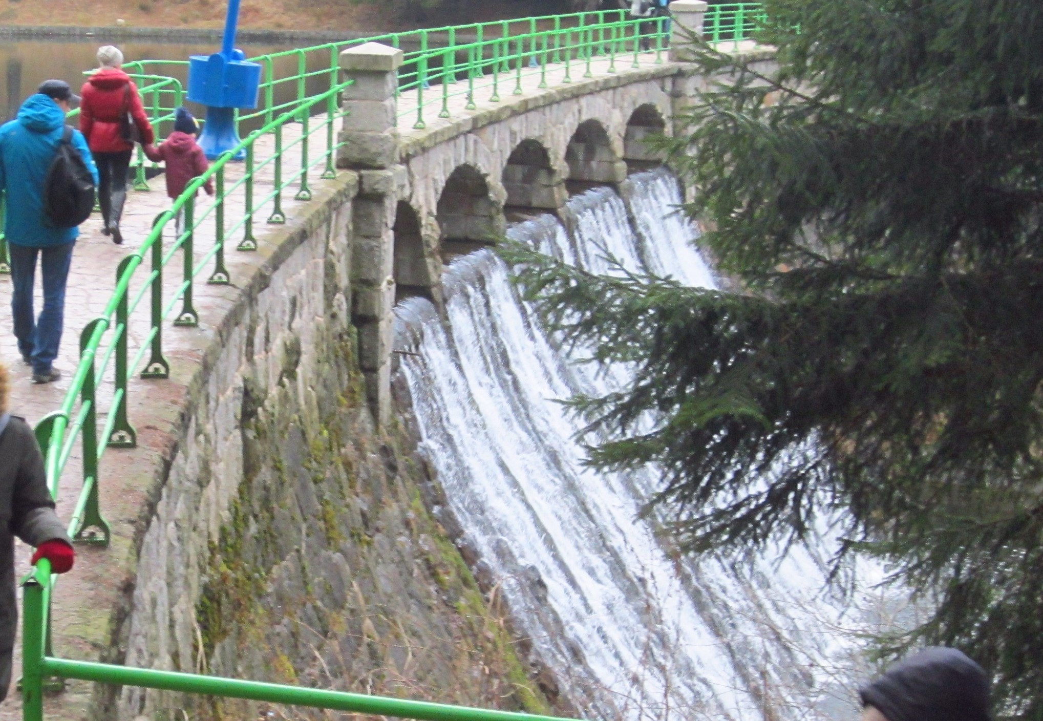 IMG_5871-2.jpg IMG_5871-2.jpg