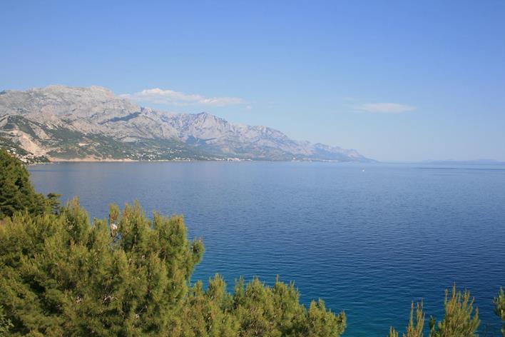 IMG_1754 (Copy) (Copy).JPG