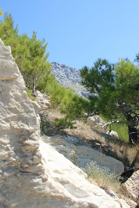 IMG_1892 (Copy) (Copy).JPG