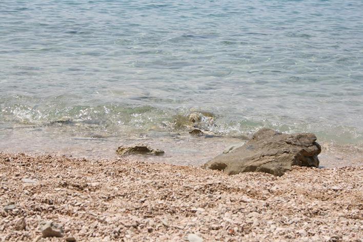 IMG_2283 (Copy) (Copy).JPG