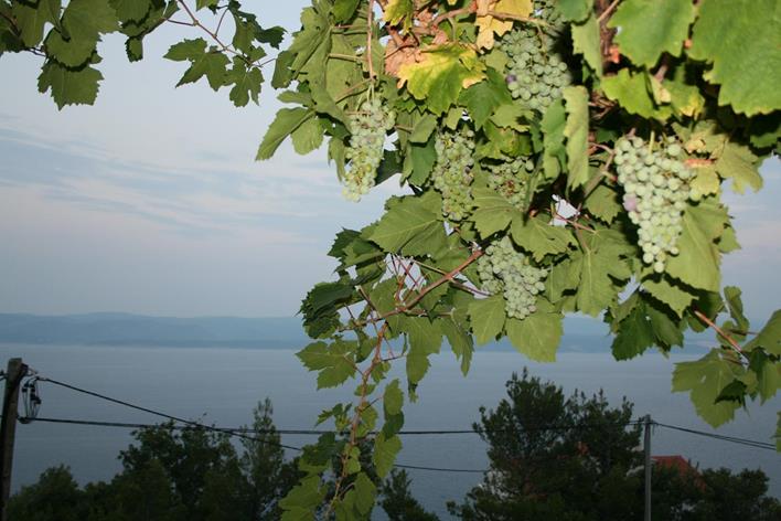 IMG_2351 (Copy) (Copy).JPG