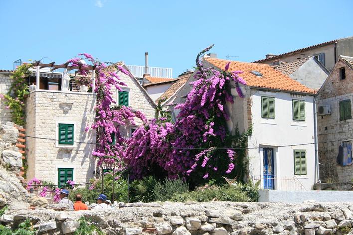 IMG_1828 (Copy) (Copy).JPG