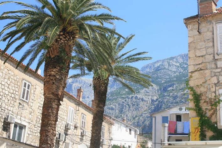 IMG_1954 (Copy) (Copy).JPG