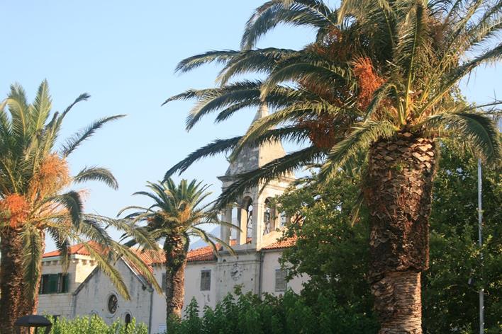 IMG_2099 (Copy) (Copy).JPG