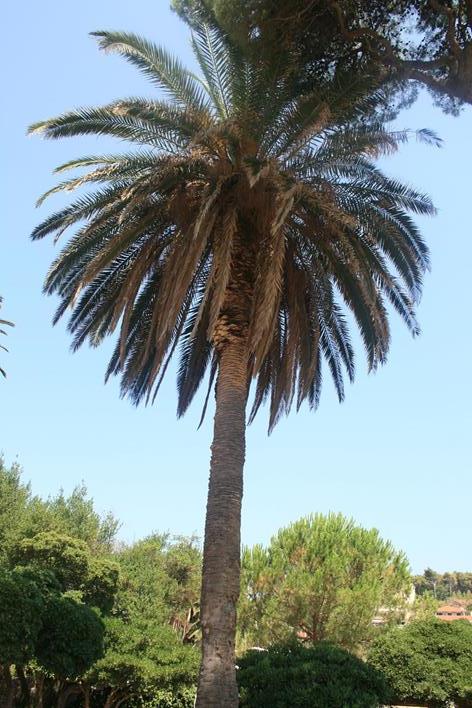 IMG_2149 (Copy) (Copy).JPG