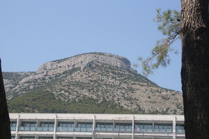 IMG_2250 (Copy) (Copy).JPG