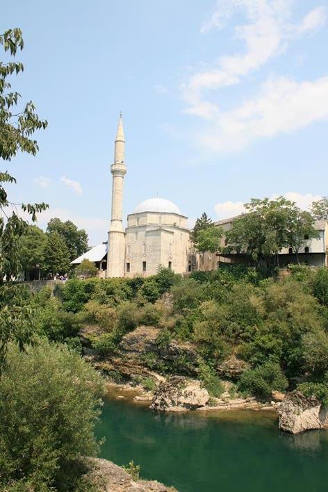 IMG_2393 (Copy) (Copy).JPG