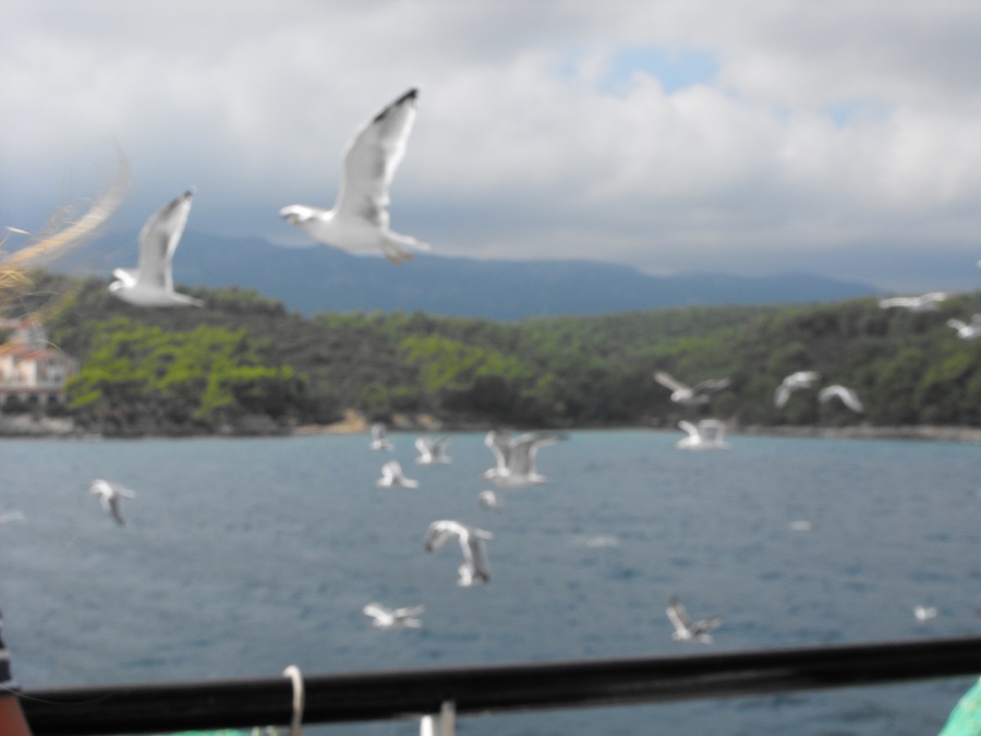 Obiadek / 18.JPG 18.JPG