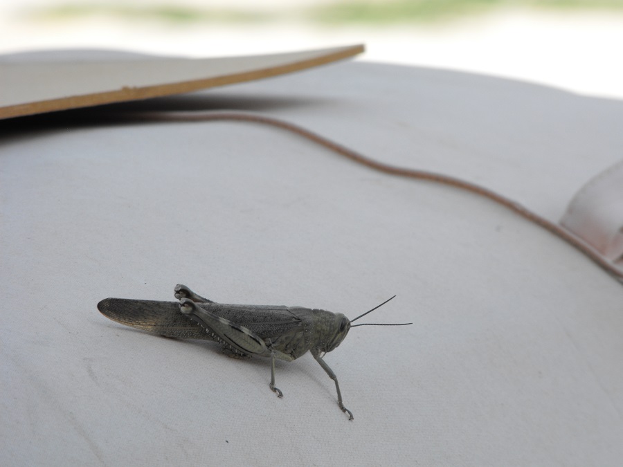 Hvar / 22.JPG 22.JPG