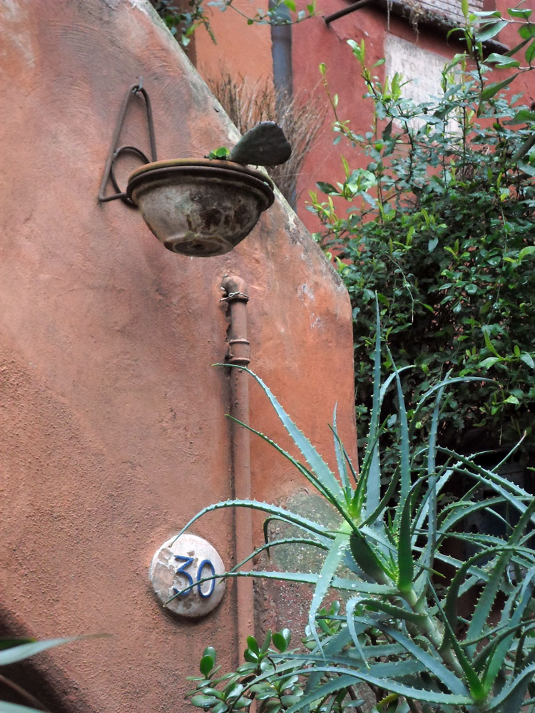 SAM_4846.jpg SAM_4846.jpg