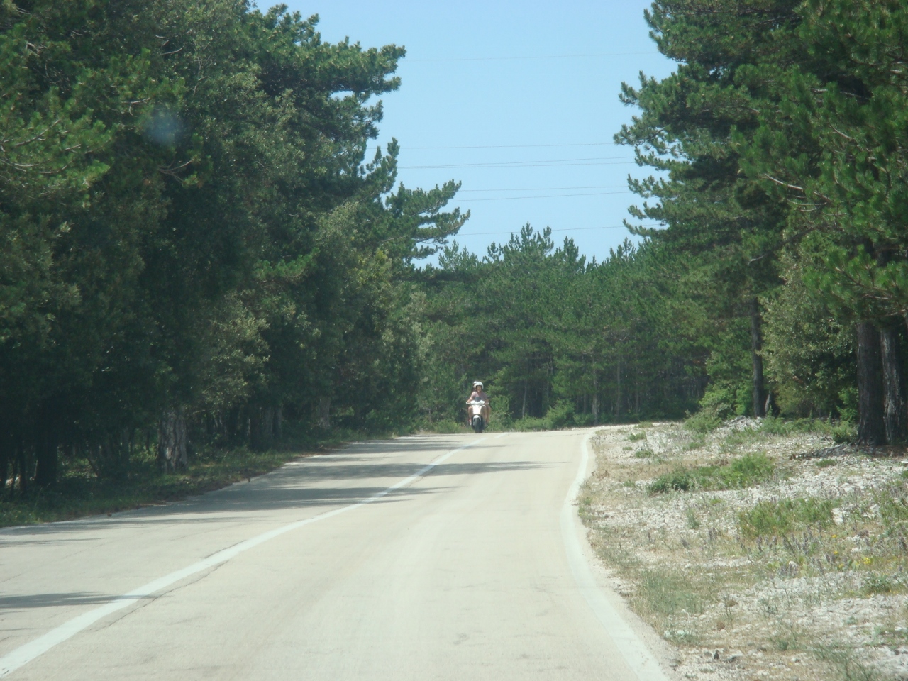 DSC03442 (1280x960).jpg