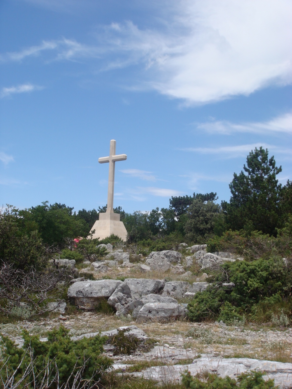 DSC03479 (960x1280).jpg