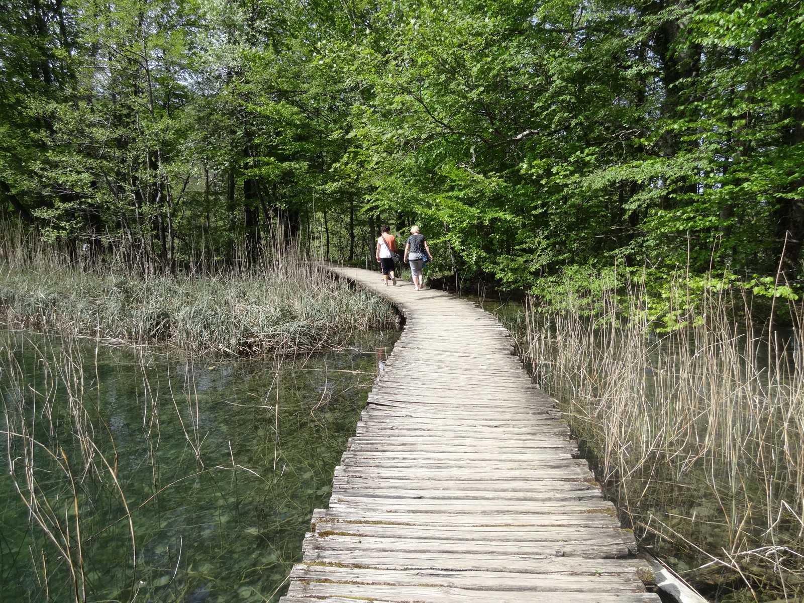 DSC05360 (Kopiowanie).JPG