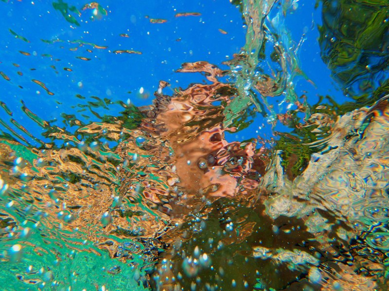 tak nas widzą ryby.JPG