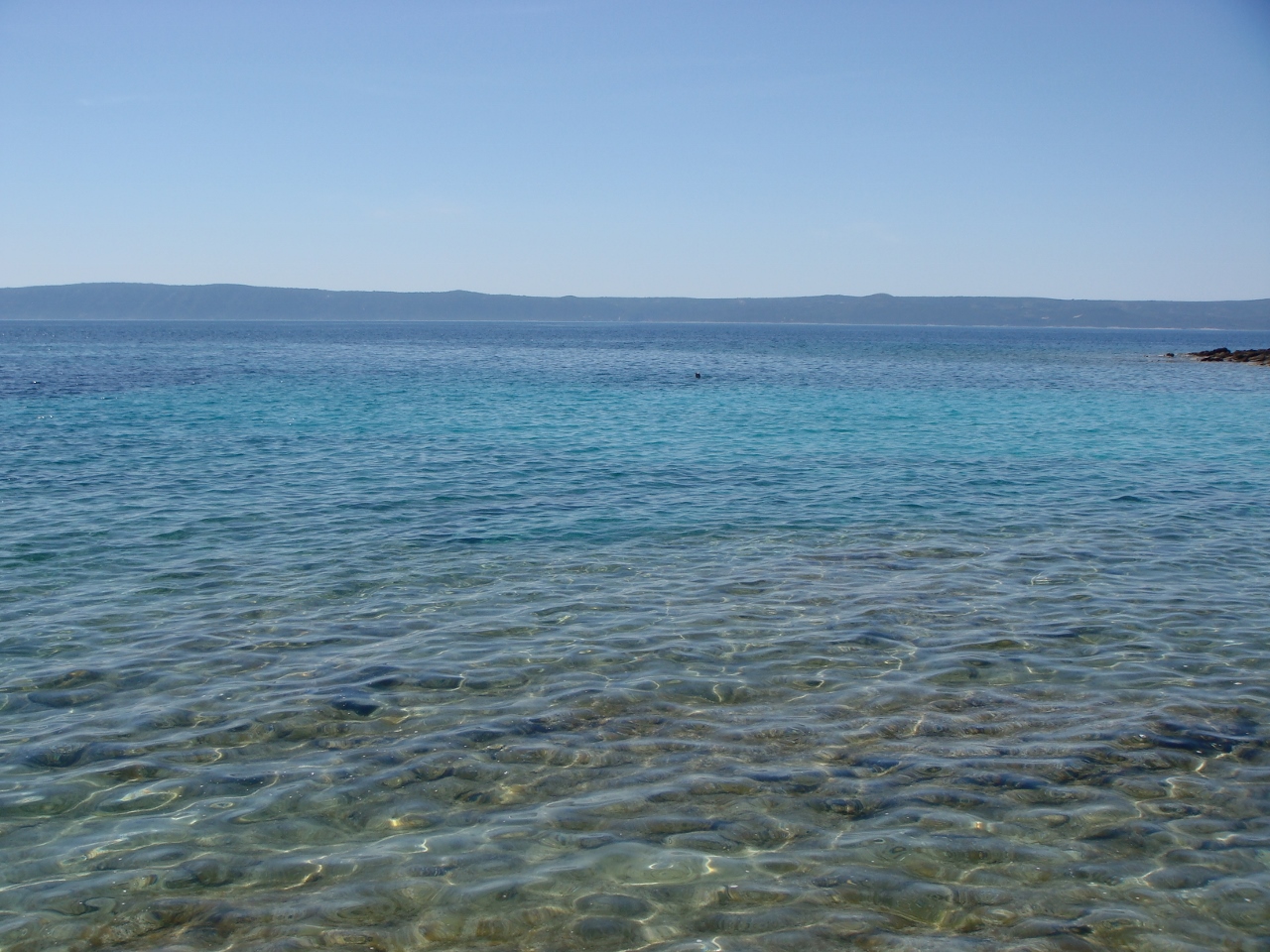 DSC03553 (1280x960).jpg