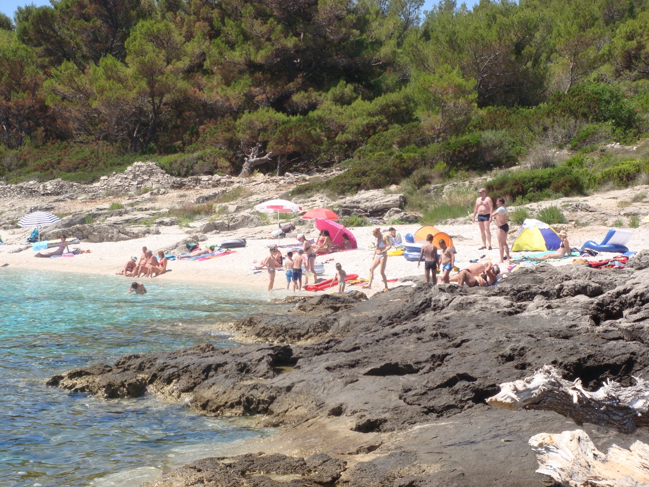 DSC03554 (1280x960).jpg