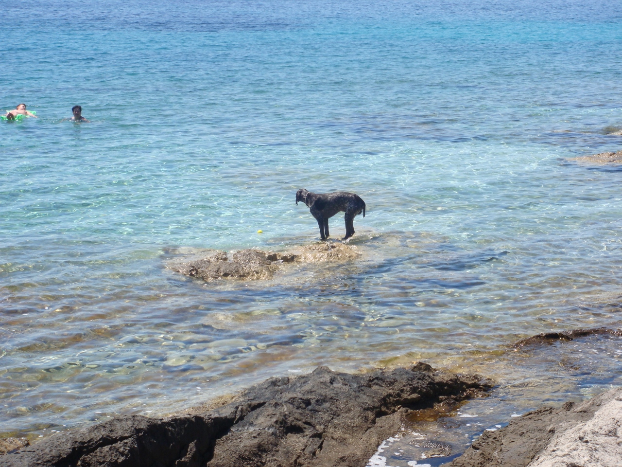 DSC03558 (1280x960).jpg