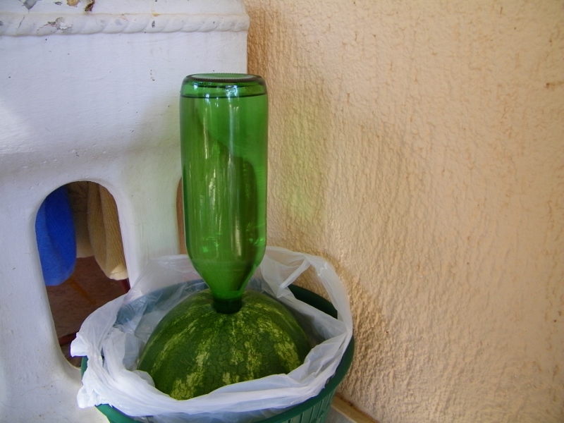 chorwacja 398 (800x600).jpg