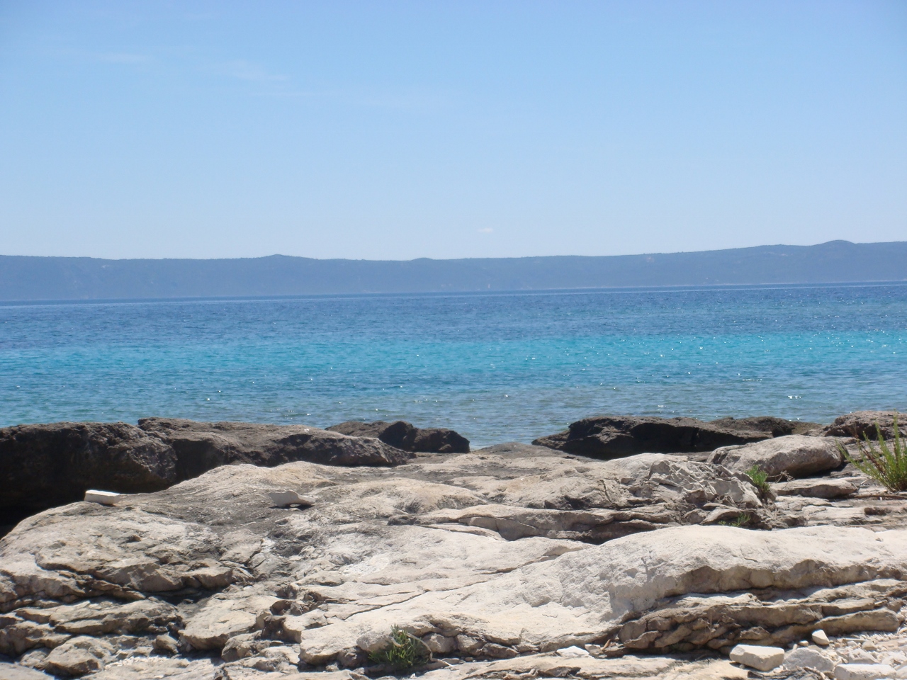 DSC03572 (1280x960).jpg