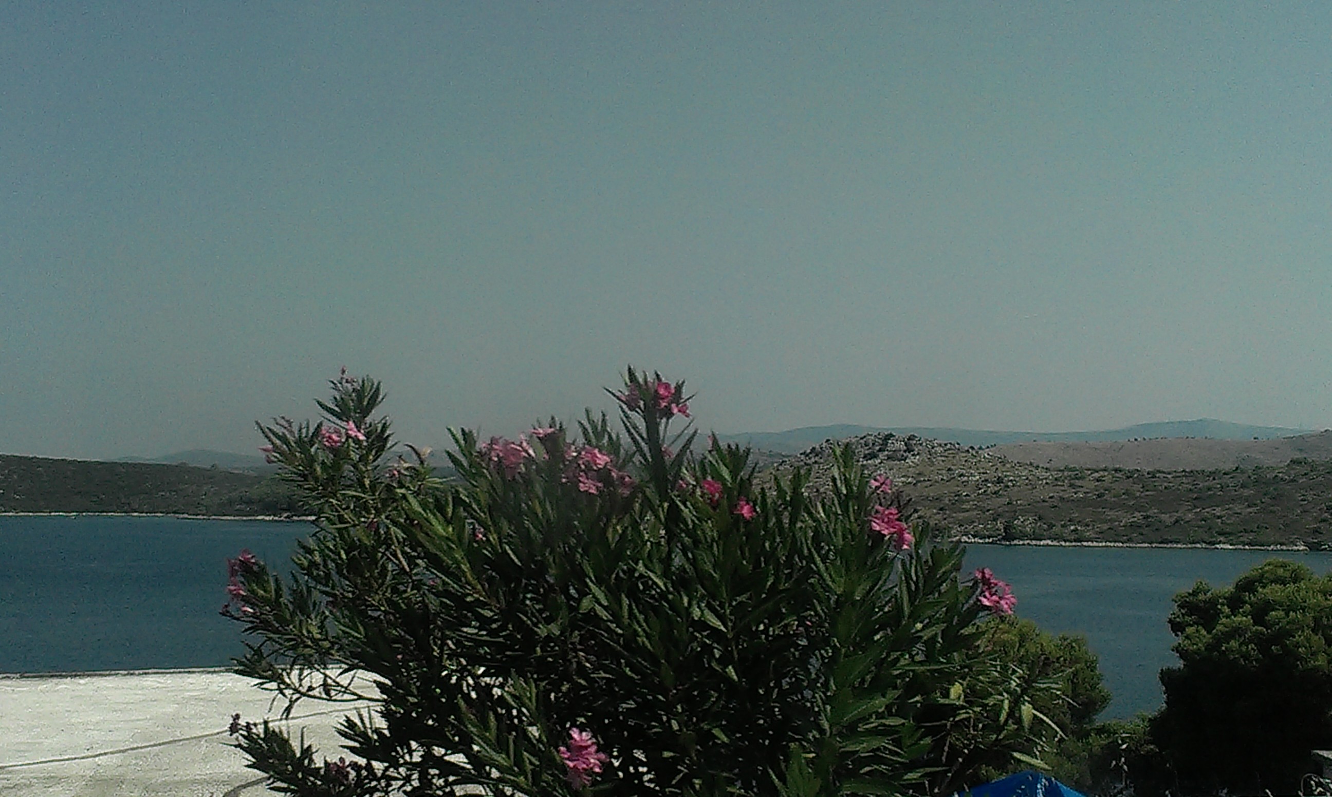 2013-07-20 10.11.32.jpg