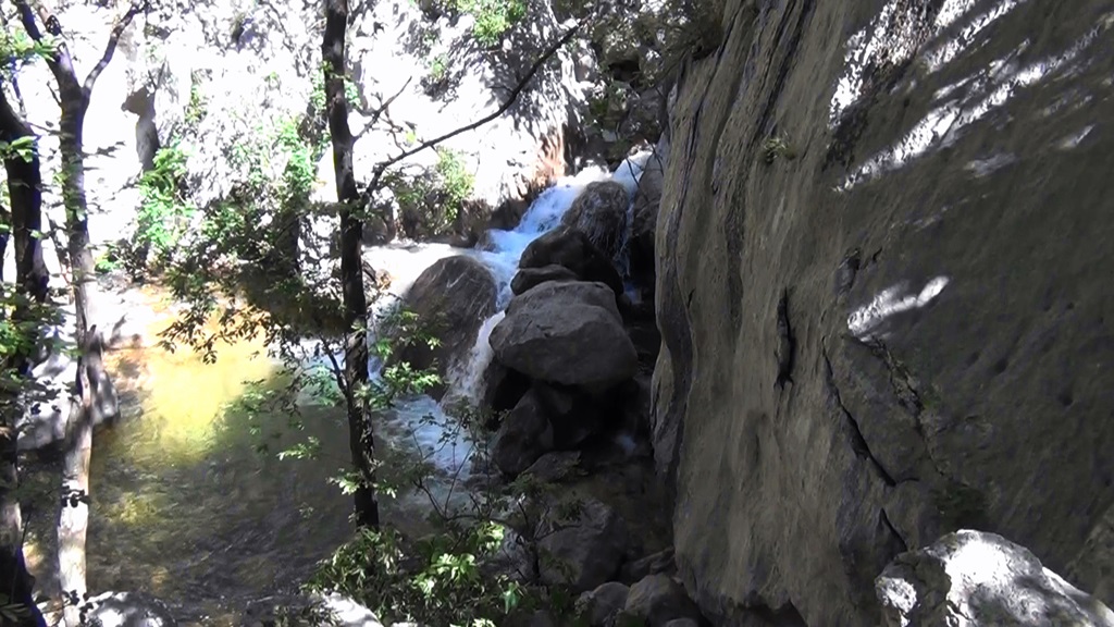 20120613102552 (2).jpg