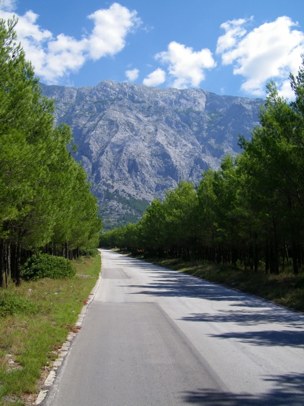 102_4720 (600x800).jpg