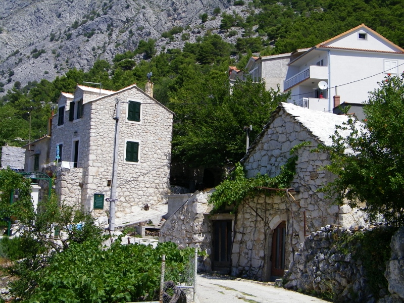 102_4751 (800x600).jpg