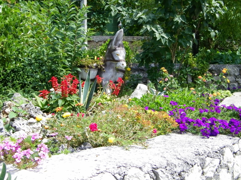 102_4778 (800x600).jpg