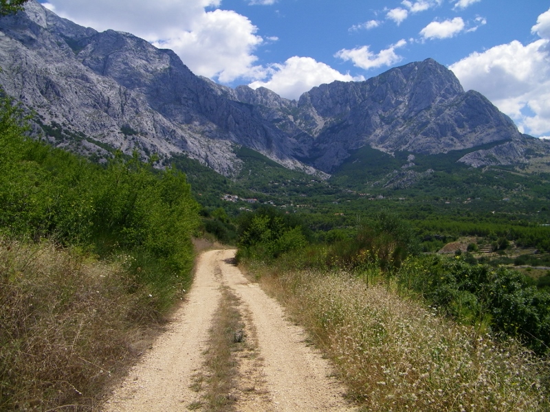 102_4796 (800x600).jpg