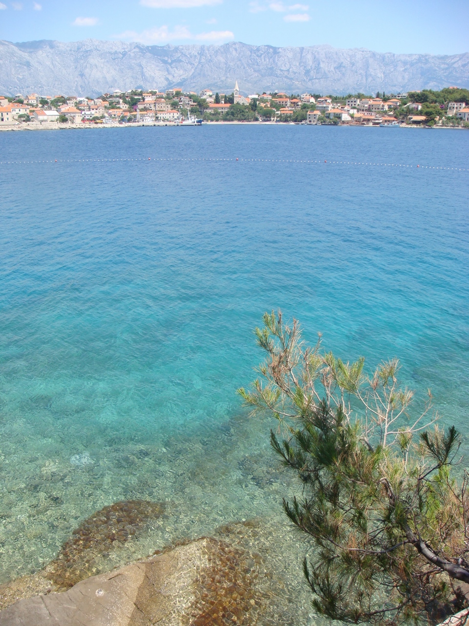 DSC03624 (960x1280).jpg