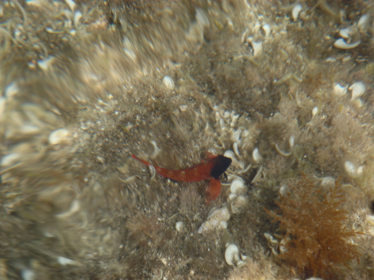 DSC03633 (1280x960).jpg