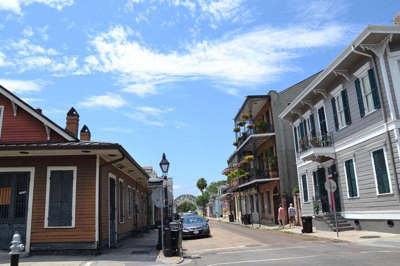 DSC_0584 (Kopiowanie).JPG