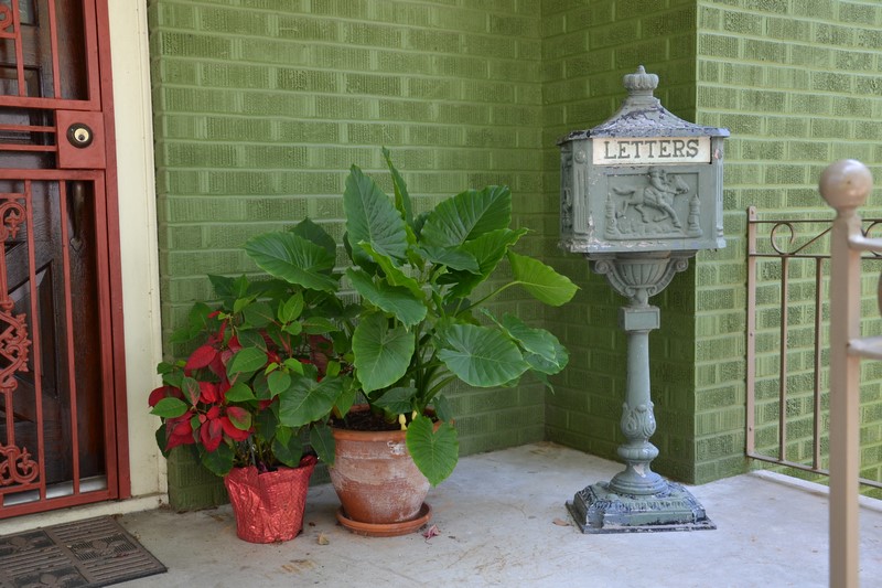 DSC_0050 (Kopiowanie).JPG