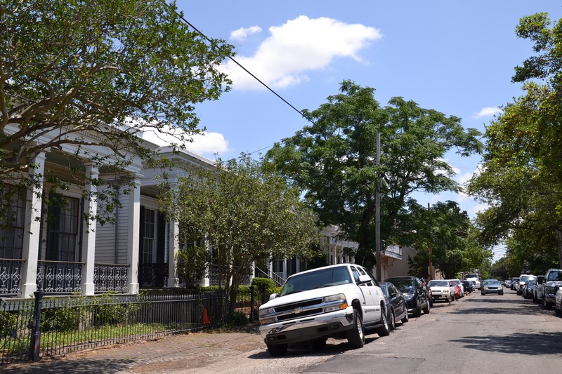 DSC_0133 (Kopiowanie).JPG