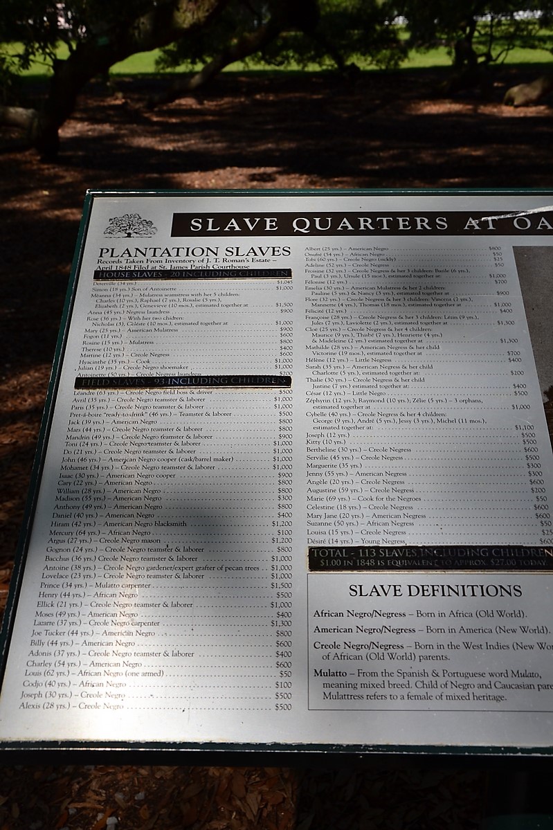 DSC_0506 (Kopiowanie).JPG