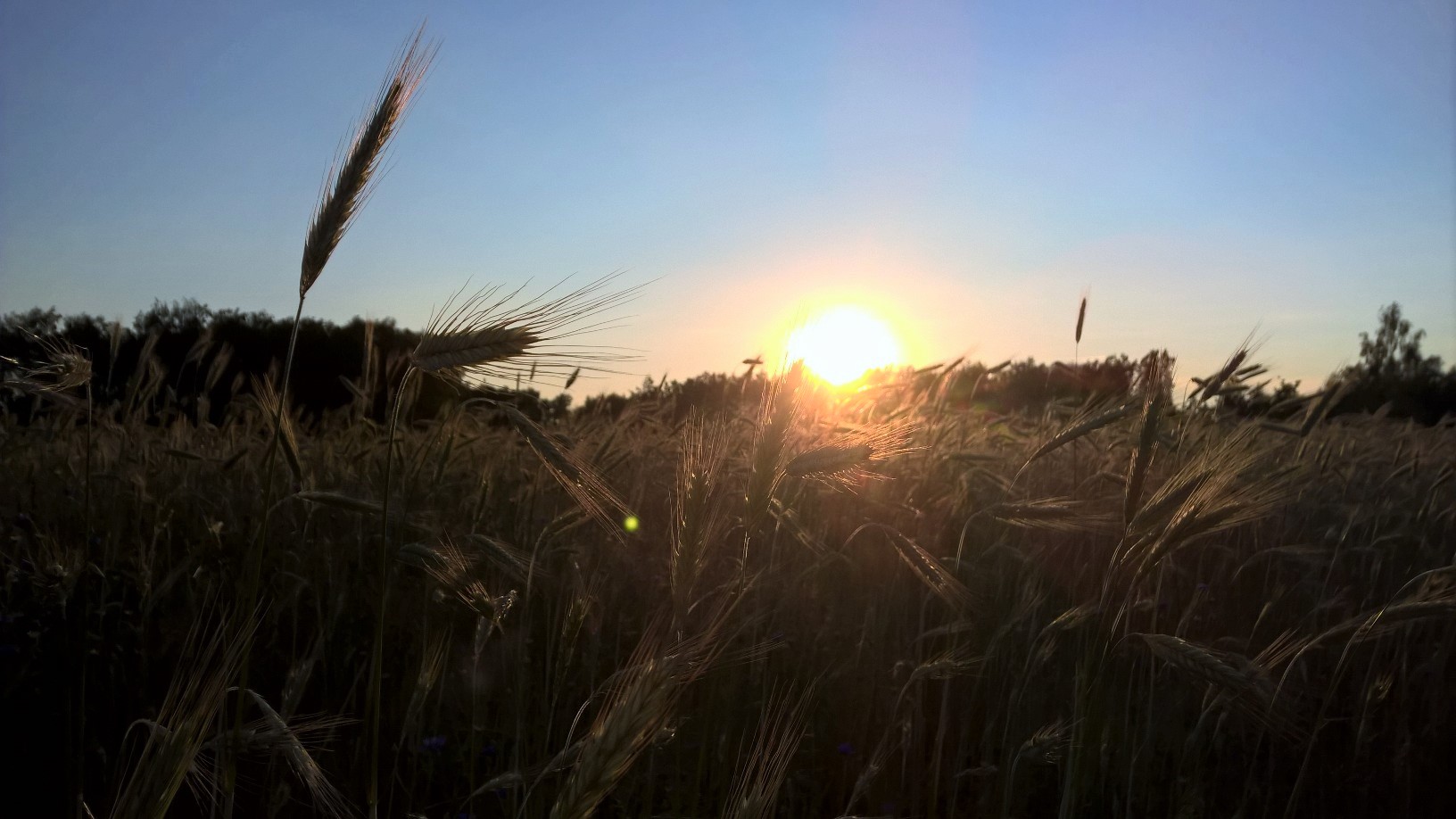 WP_20160618_20_18_05_Pro [396770].jpg